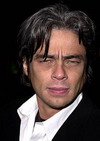 Benicio del Toro Screen Actors Guild Award Winner